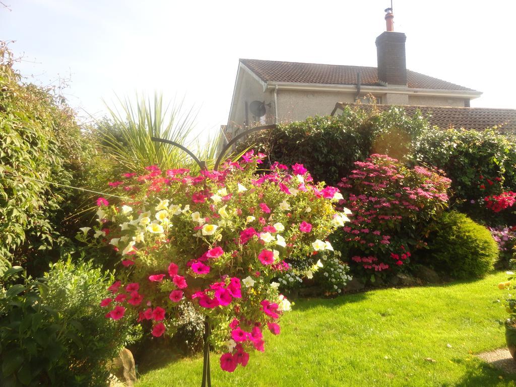 Orley House B&B Drogheda Exterior foto